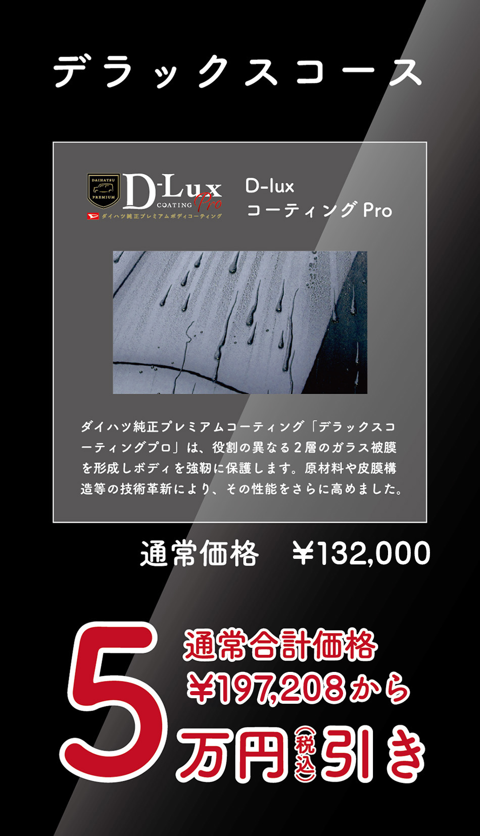 デラックスナビパック
